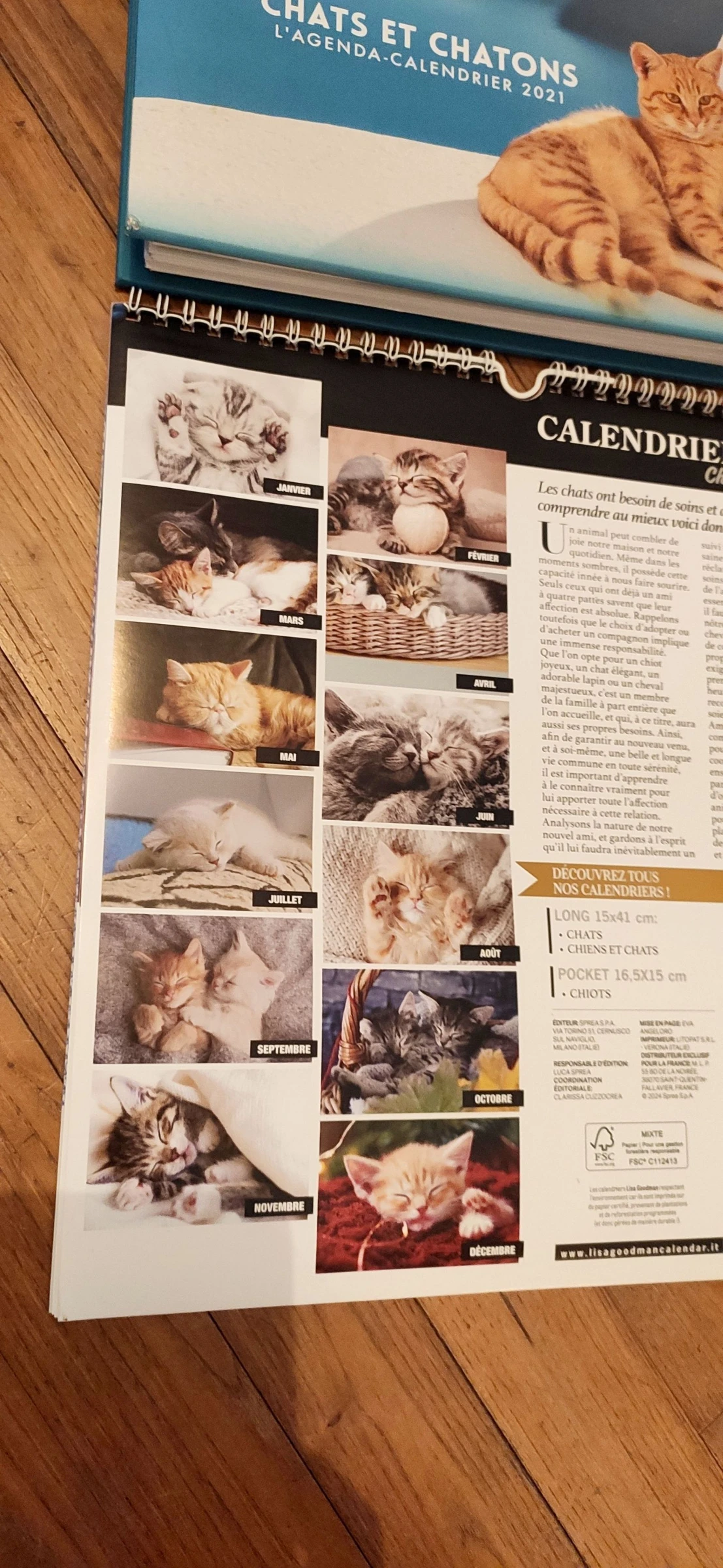 Set kattenkalenders – photo 2